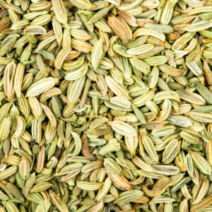 Fennel Seeds