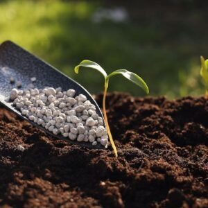 Compound Fertilizers