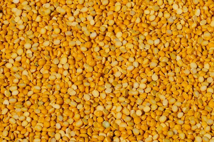 Chana Dal (Split Chickpea Lentils)