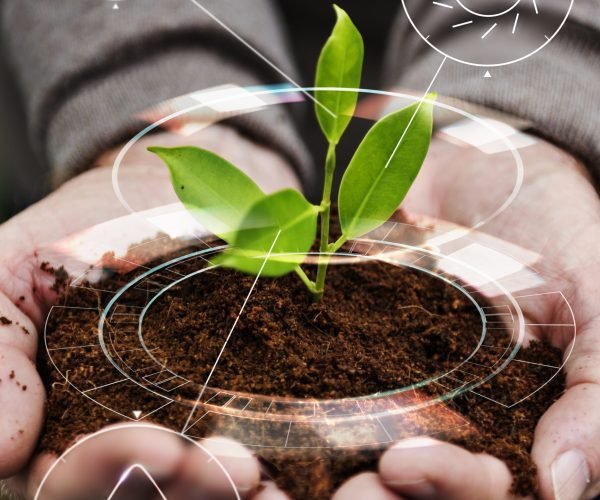 Smart agriculture IoT with hand planting tree background